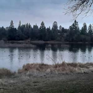 Lakefront Haven T-14