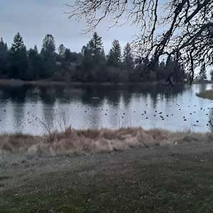 Lakefront Haven T-14