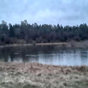 Lakefront Haven T-14