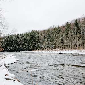 A large creek runs parallel down the property.