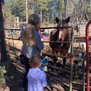 Friendly Pines Cabin