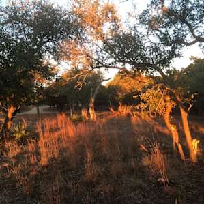 sunrise time.