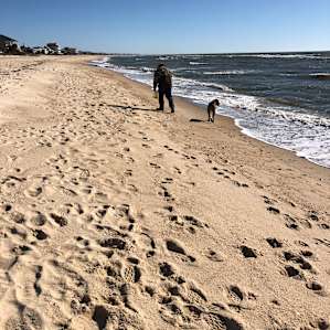Lots of shells on the beach. We were the only ones on the beach for miles. Walking distance from site or you could bike there.