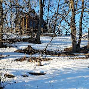 Creekwood Cottage