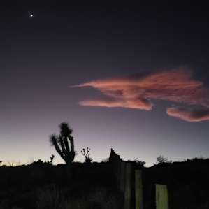 Majestic Mesa