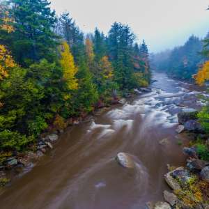 The Moose River Retreat Cabins Wv 11 Photos