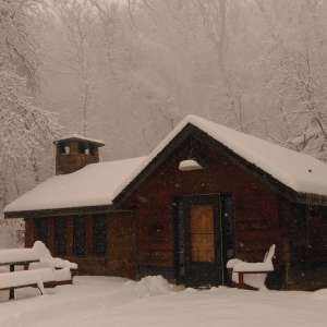 Tent Camping At Shady Brook Come Enjoy The Beauty Ia 2