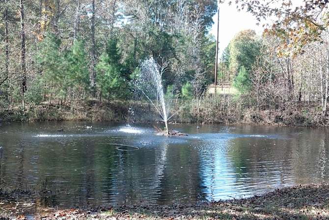 Best Camping in and Near Angelina National Forest
