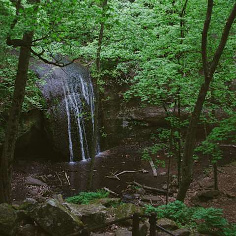 The 20 Best Campgrounds In Wisconsin