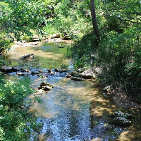 Little River Park Pine Creek Lake - Camping at LITTLE PINE STATE PARK, PA / Pine creek lake is a lake in mccurtain county and pushmataha county, oklahoma, usa.