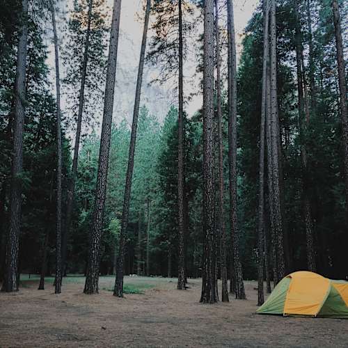Camping Outside of Yosemite National Park