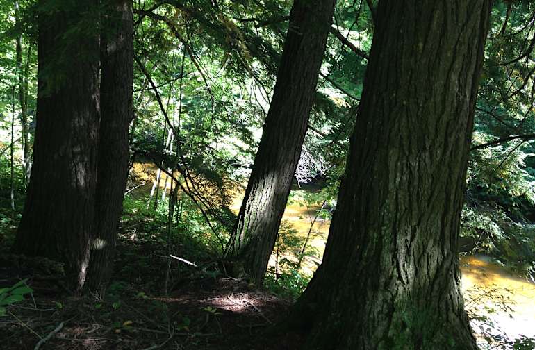 Best Camping In And Near Porcupine Mountains Wilderness