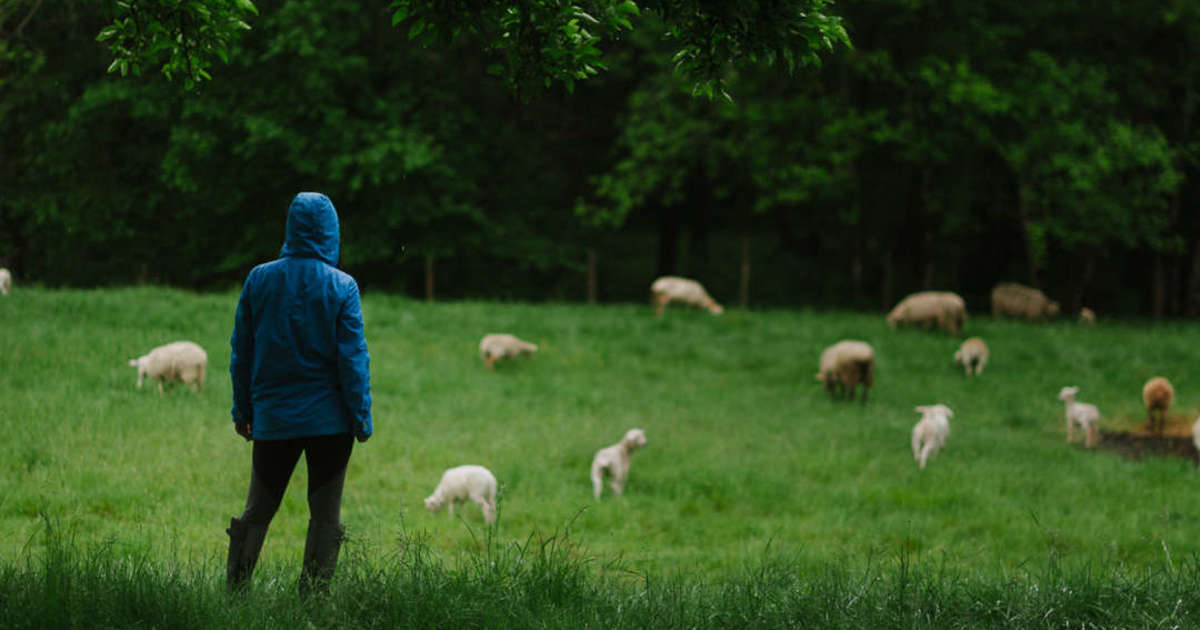 Help out with a walk in these 5 great causes this October | Yosef ...