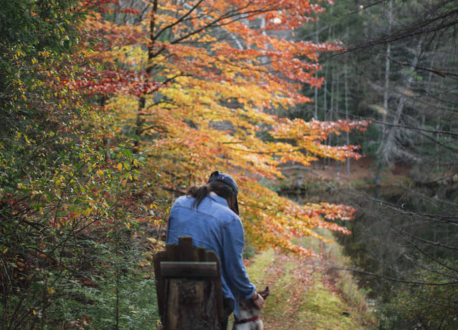 Hiker walking beneath orange and red leaves at Adirondack Rustic Retreat in New York