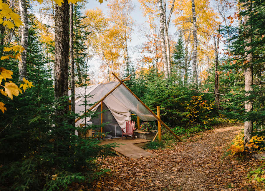 Canvas tent tucked among golden birch trees at Balsam Ridge Retreat in Minnesota