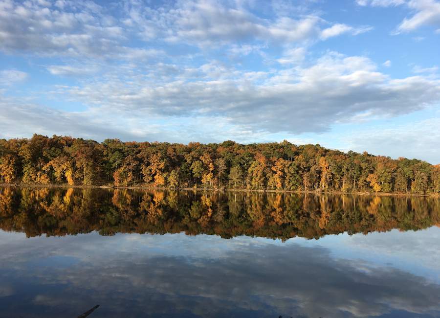 Still lake reflecting a band of autumn trees at Spring Lake Ranch in Missouri