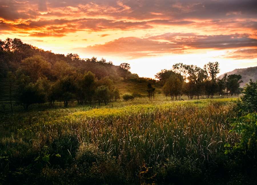 Warm sunset over fall fields at Flutterby Farm in Wisconsin