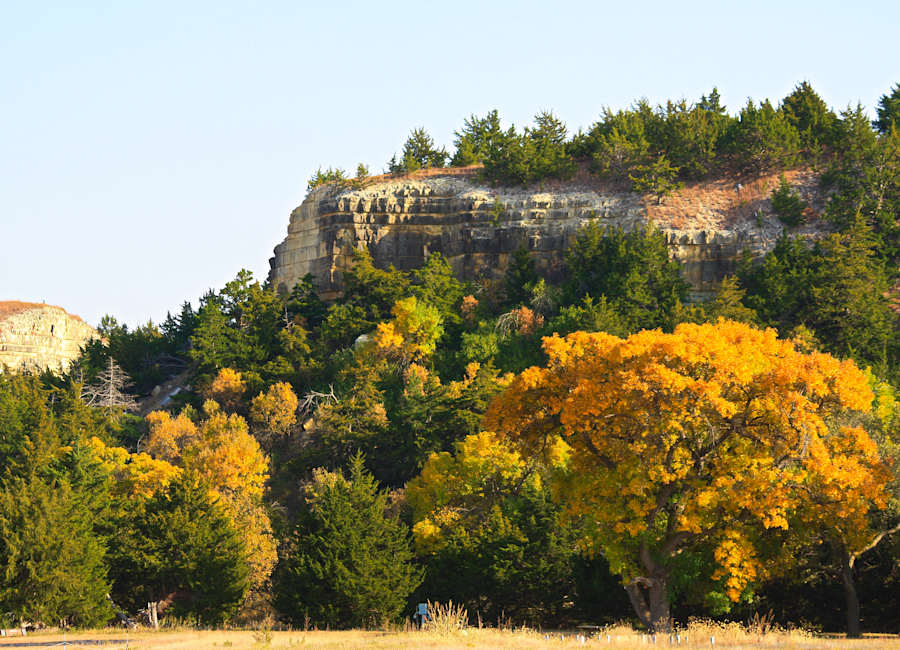 Golden fall trees surrounding the limestone bluffs at C2T Ranch in Kansas
