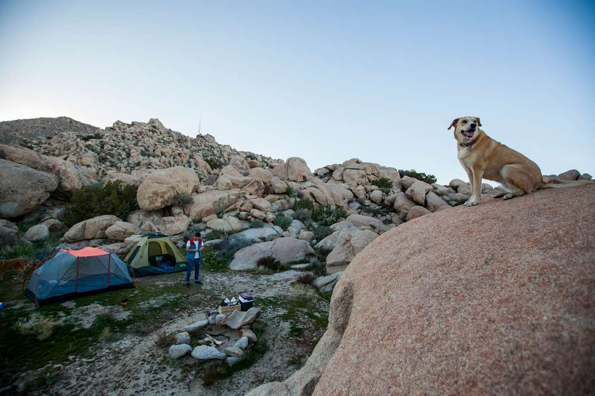 New Year's Resolution: Get Outside