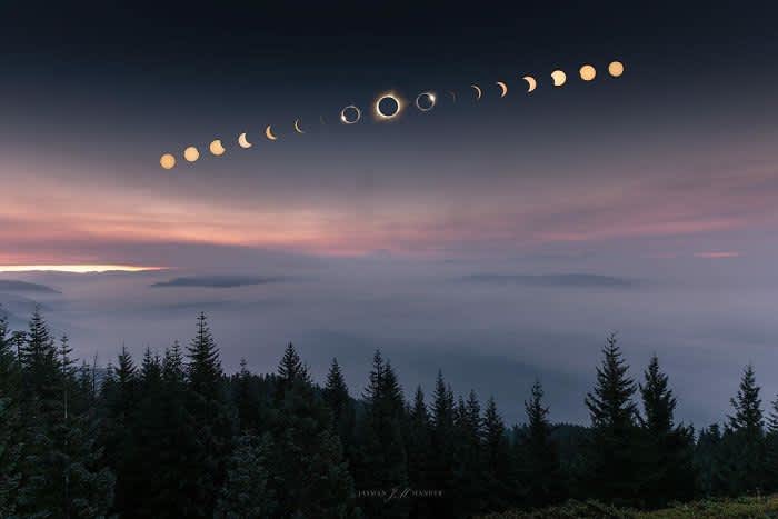 Our Favorite Pictures from the Solar Eclipse