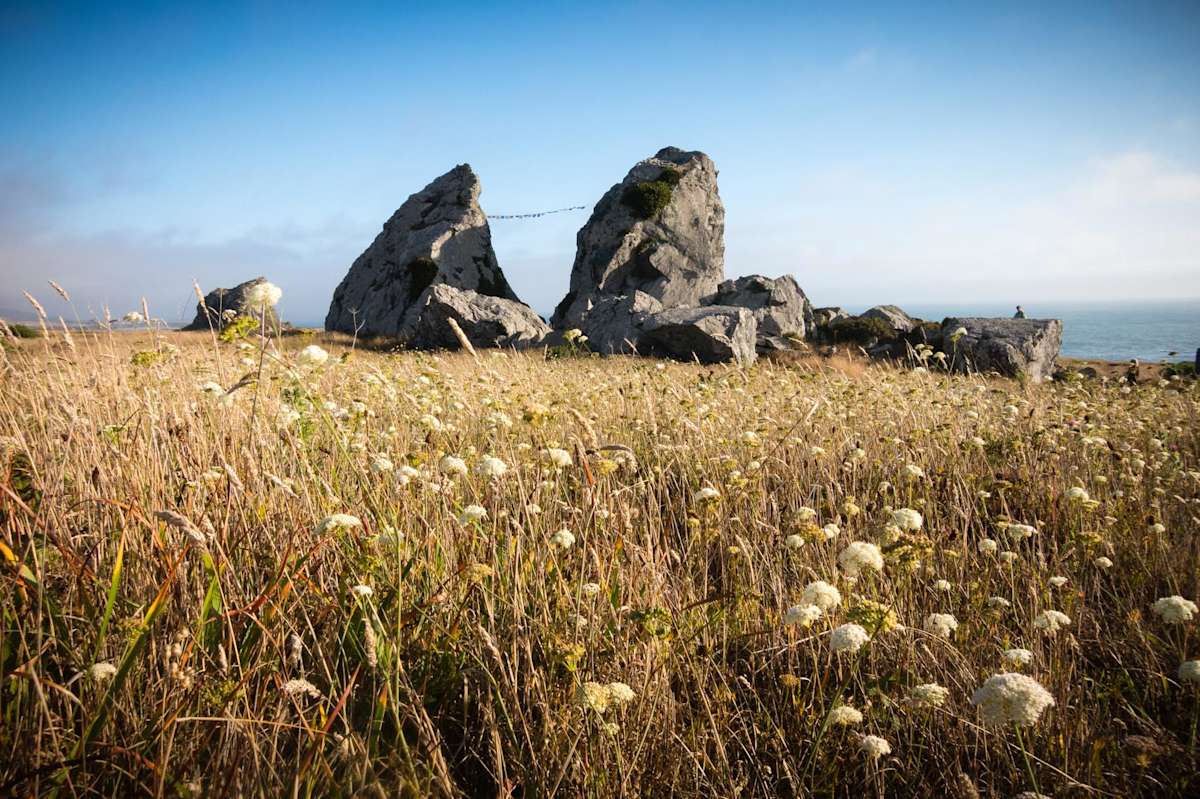 Off the Grid: How Wylder Grew Out of an Apple Orchard