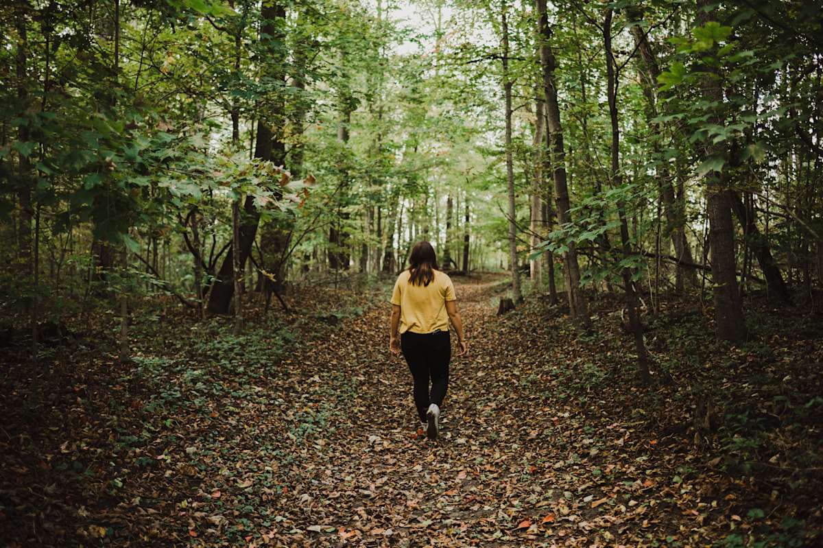 Forest Bathing, Explained