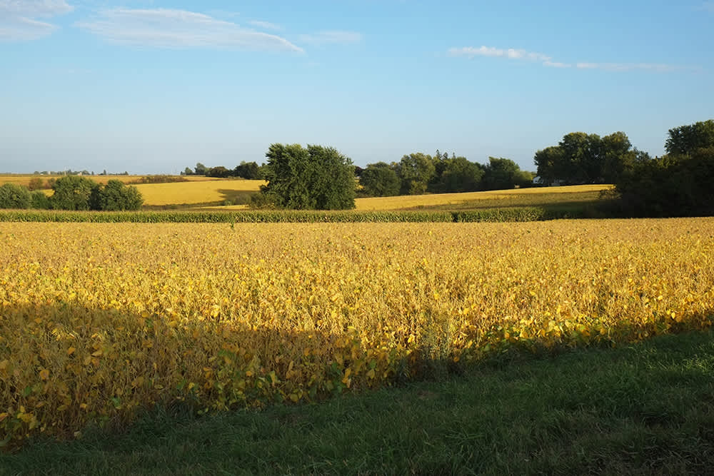 Drifting through the Driftless