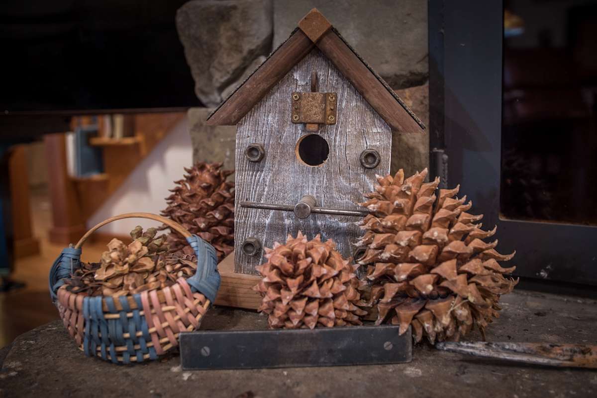 How I learned to Embrace the Slow Food Zen of Harvesting Pine Nuts