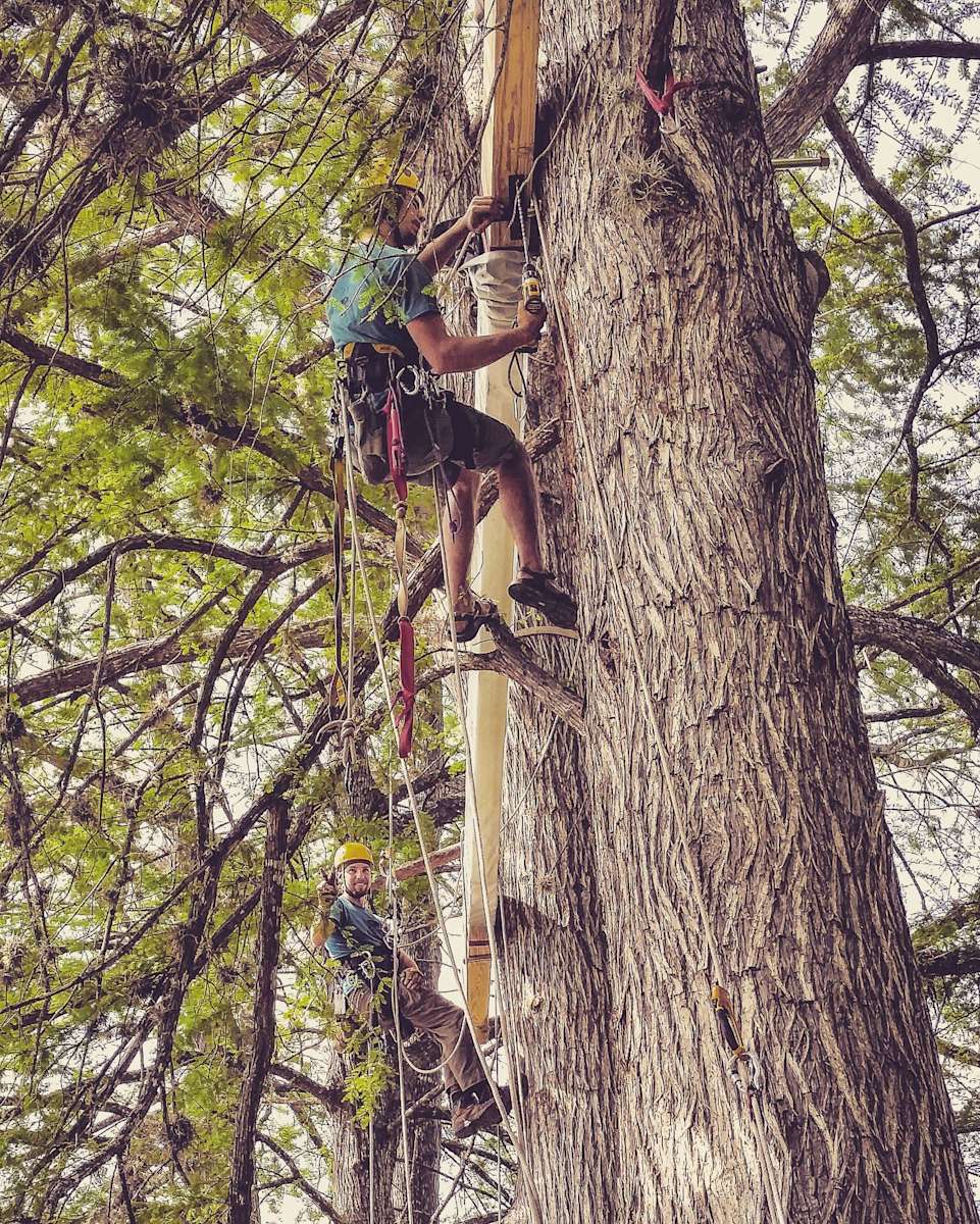 The Secret Life of a Treehouse Builder