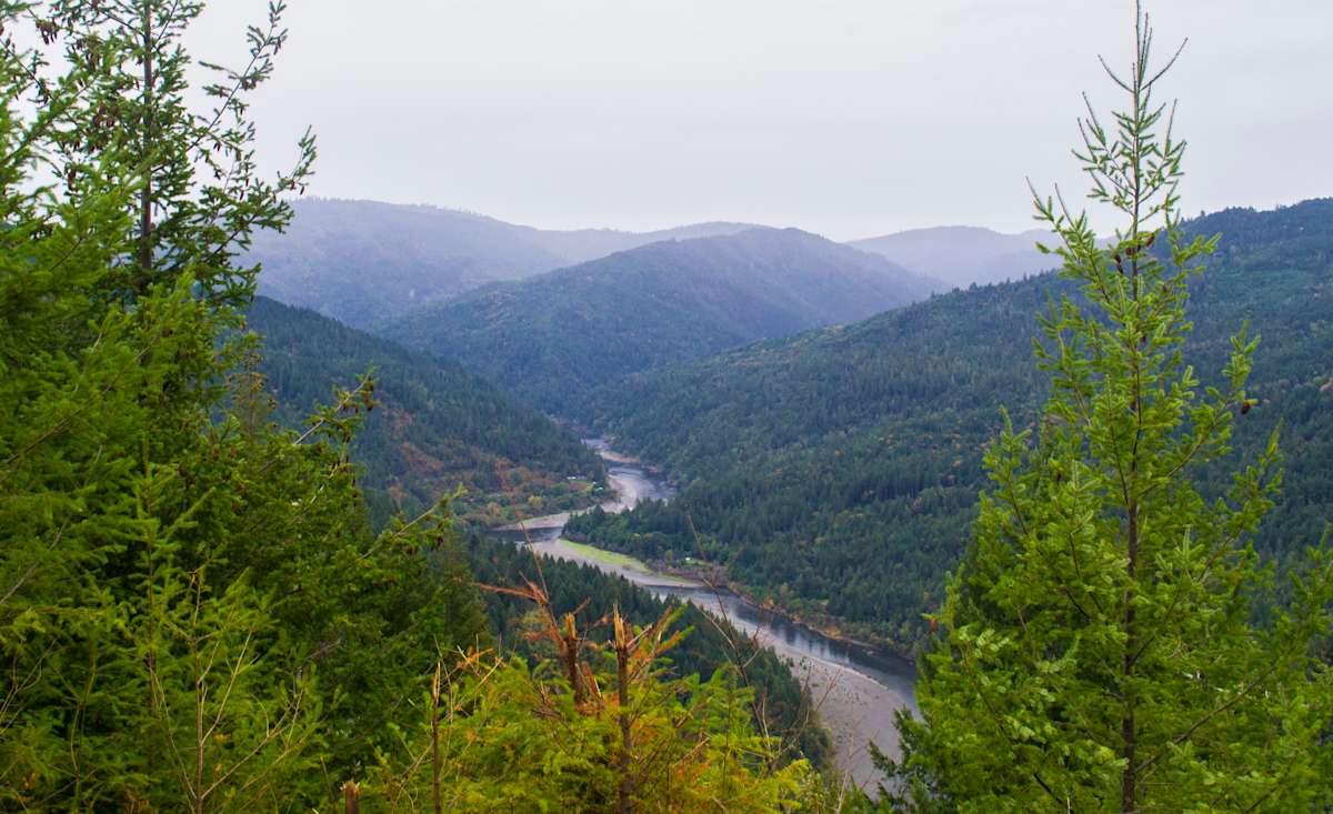 Otter Space Immersion