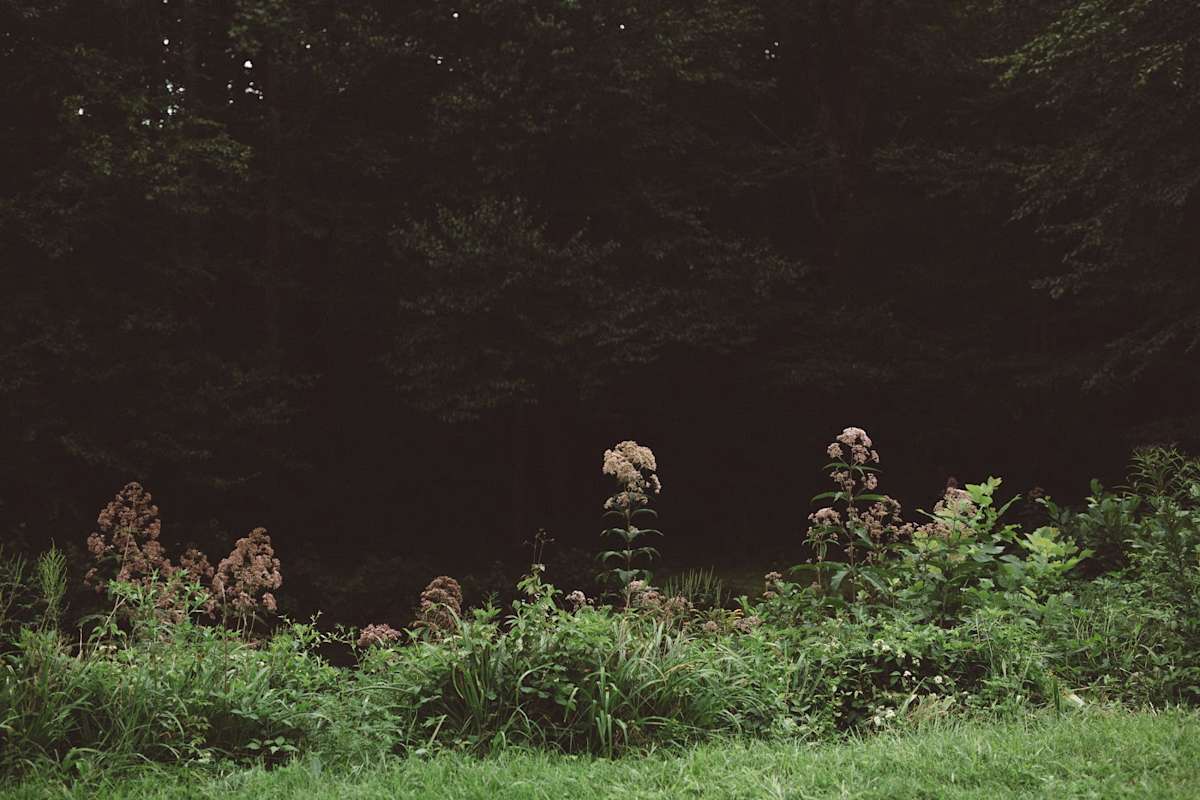 Duck Dance Farm - Hipcamp