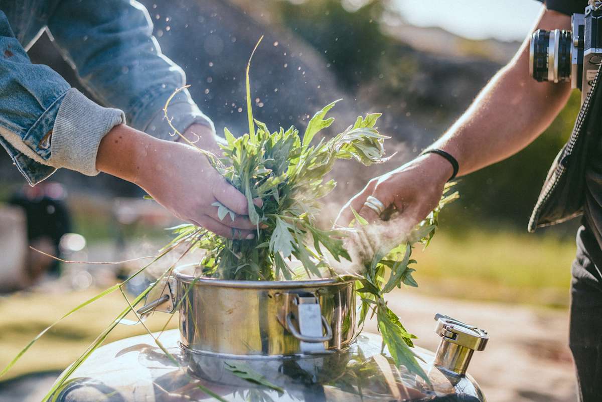 Announcing The Hipcamp Summer Campout Series