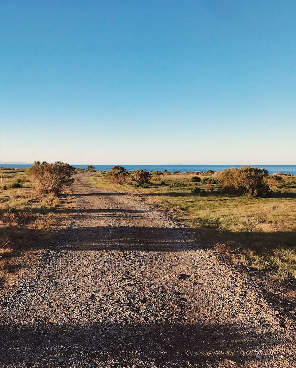 Hipcamper of the Week: Ritzelle Cayabyab