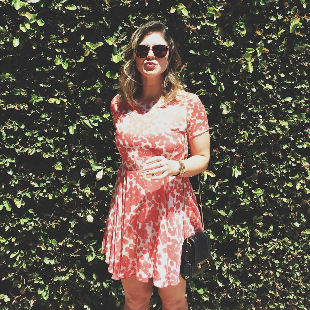 Banana Split S'mores Recipe