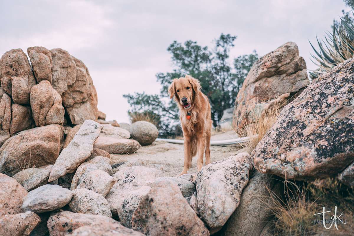 Photographer Spotlight: Ted Kim