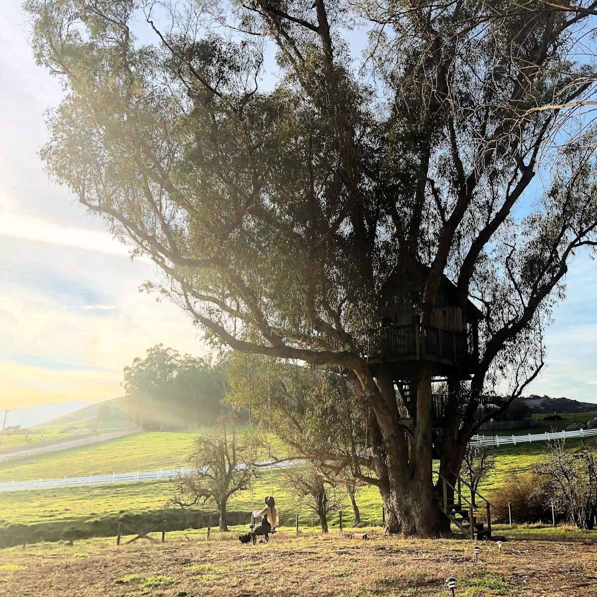 Hipcamper of the Week: Heidi H. 