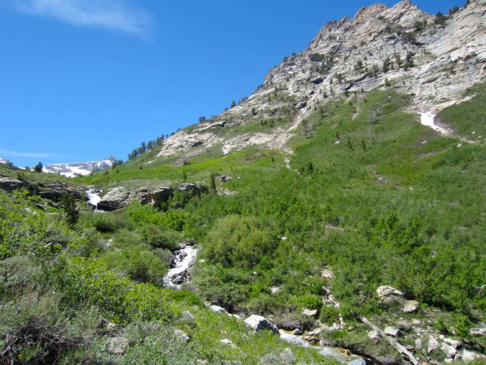 Kingston Lake State Forest Campground - Kingston Campground, Humboldt-Toiyabe, CA: 2 Hipcamper ... / Kingston lake state forest campground.