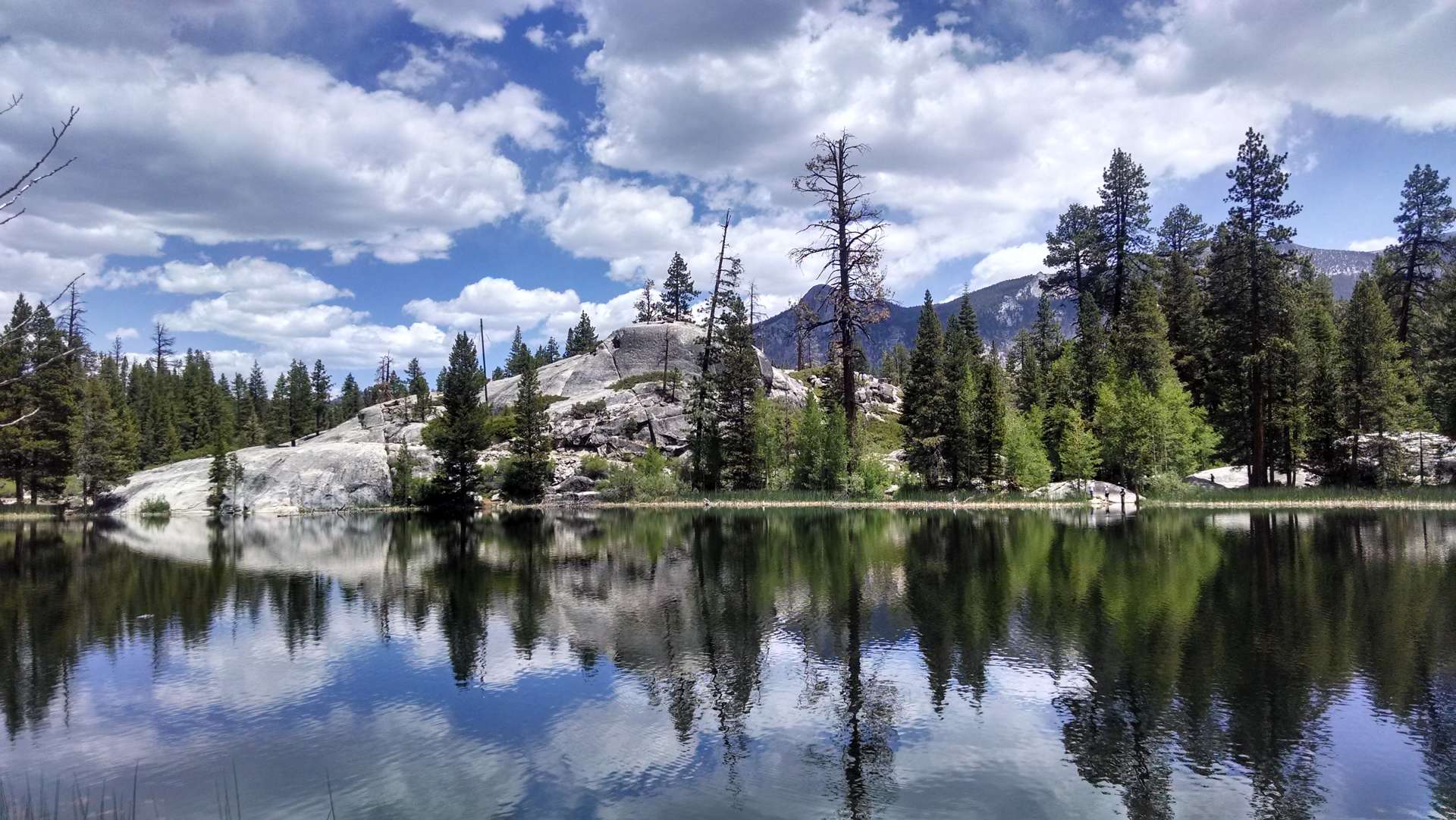 Black Rock Campground Sierra Ca