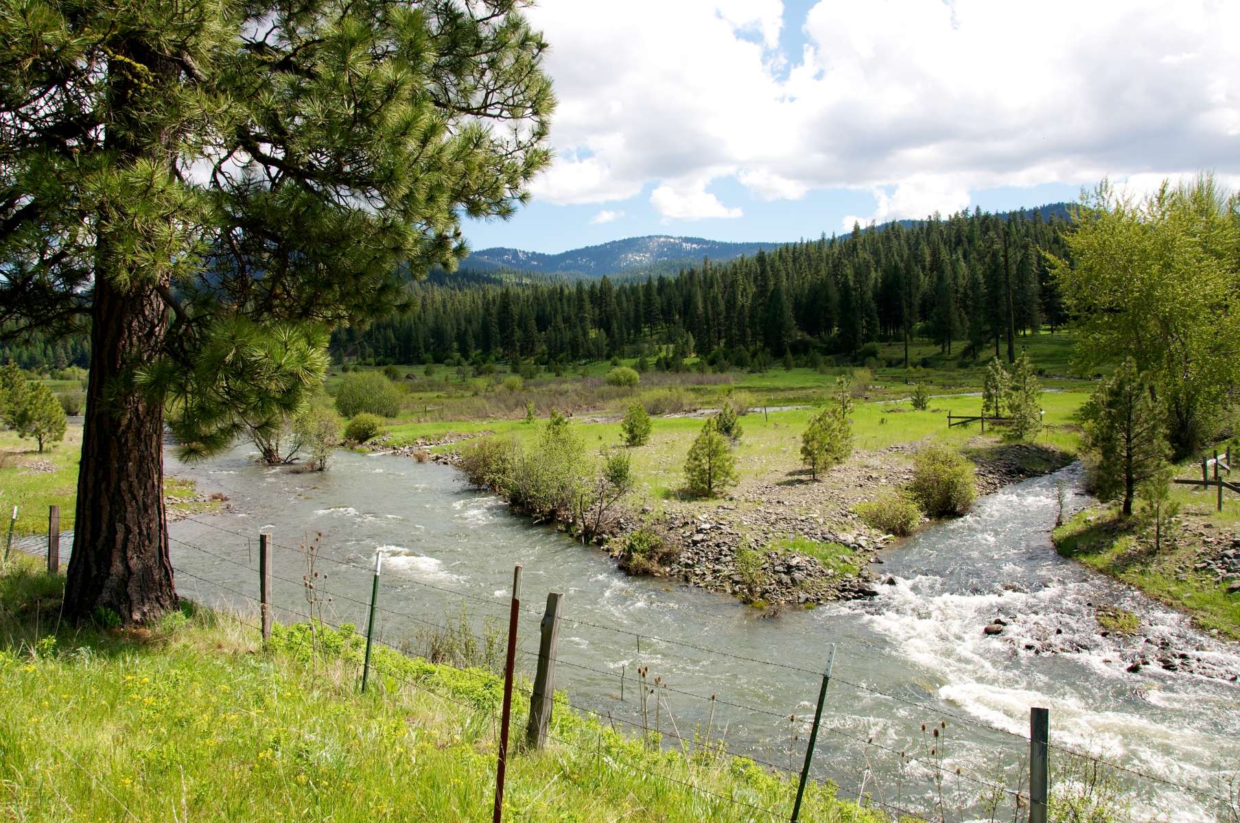 Trout Farm Campground Malheur Or