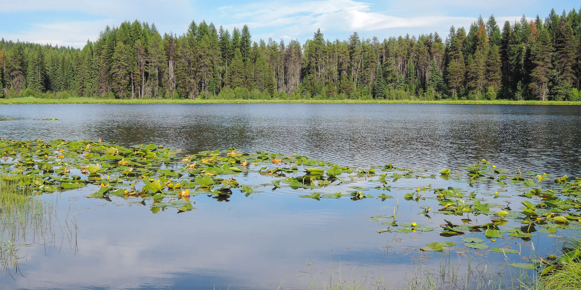 Availability At Snow Peak Cabin Colville Wa