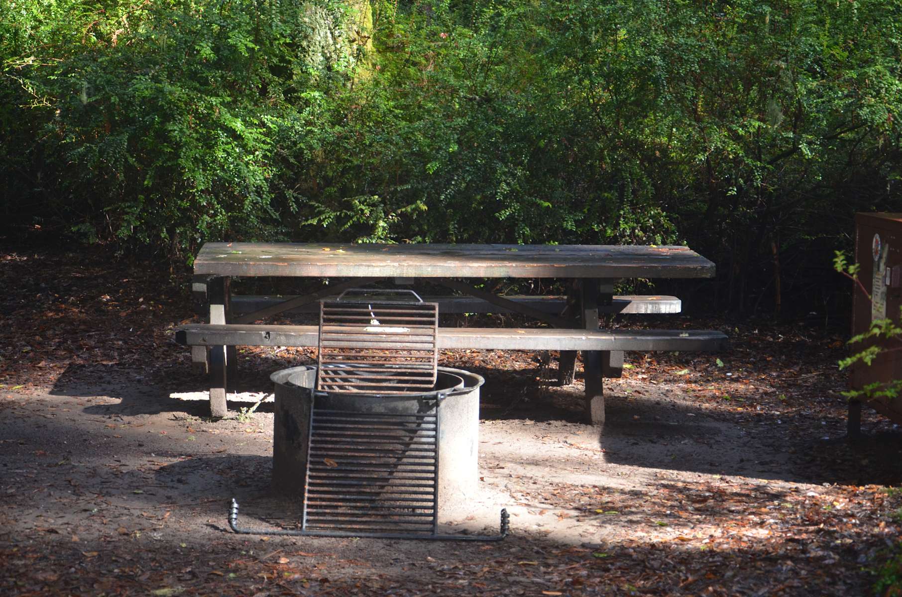 Big Basin Tent Cabins, Big Basin Redwoods, CA: 7 Hipcamper ...