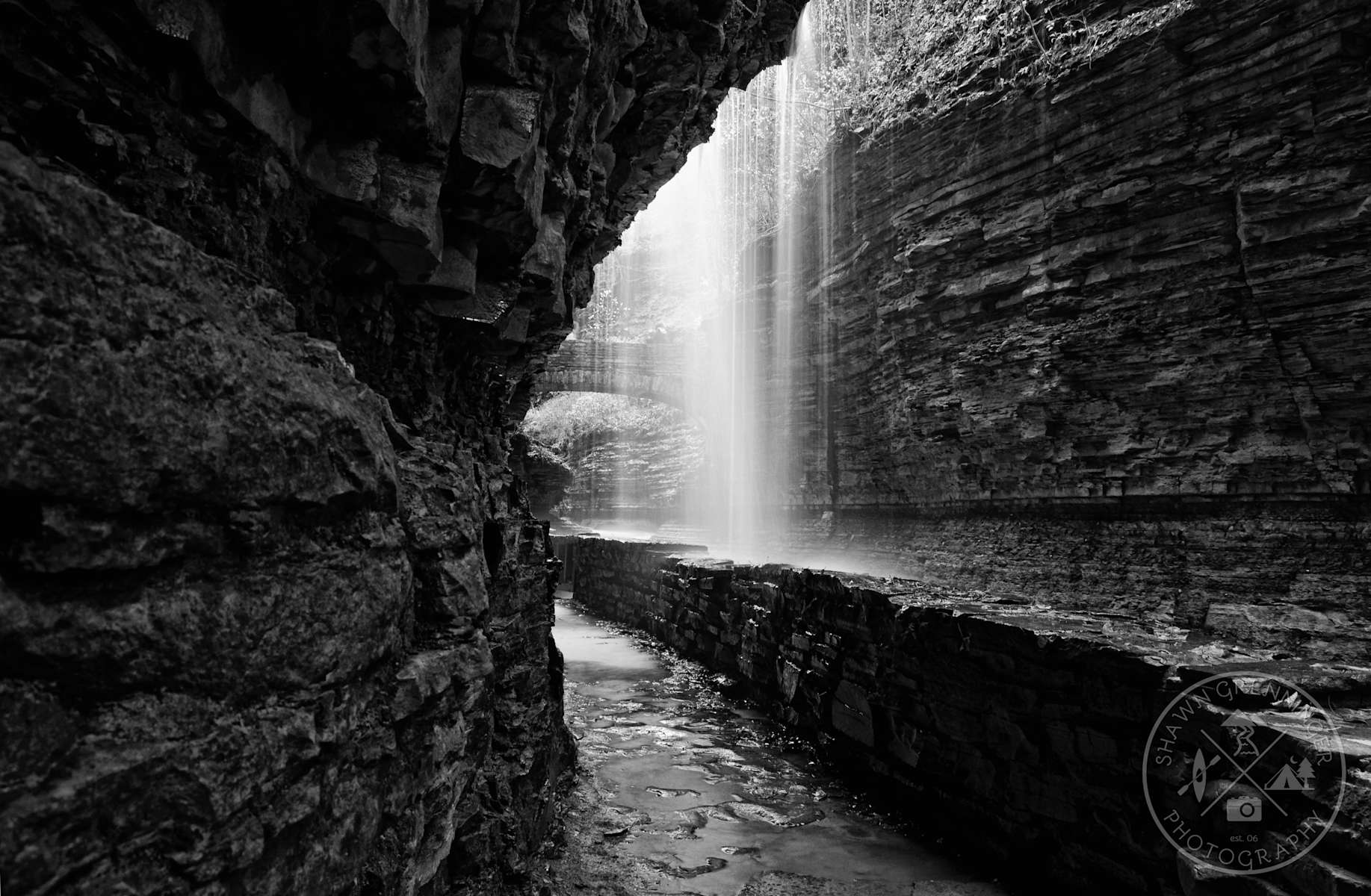Best Camping in and Near Watkins Glen State Park