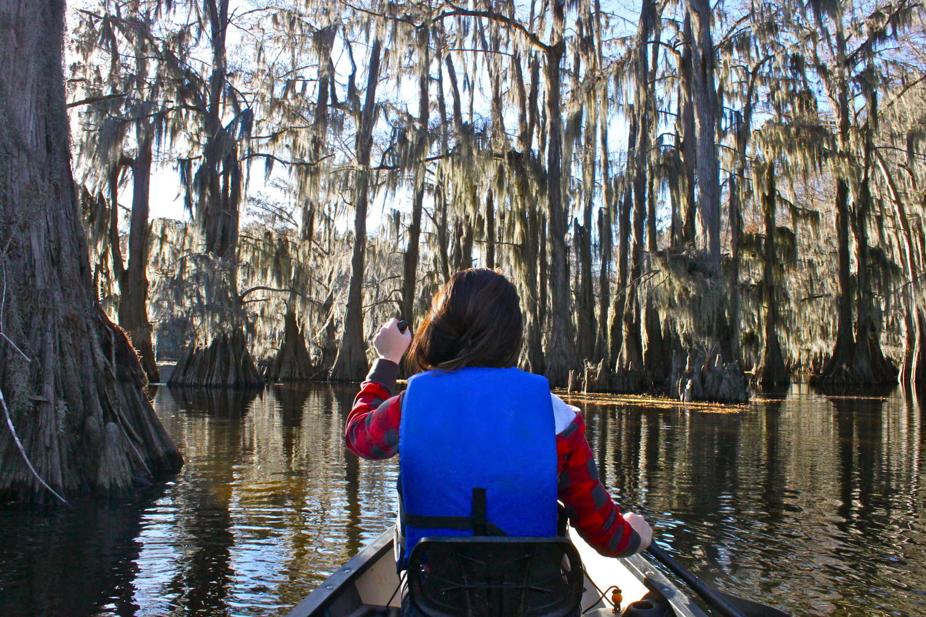 Caddo lake level