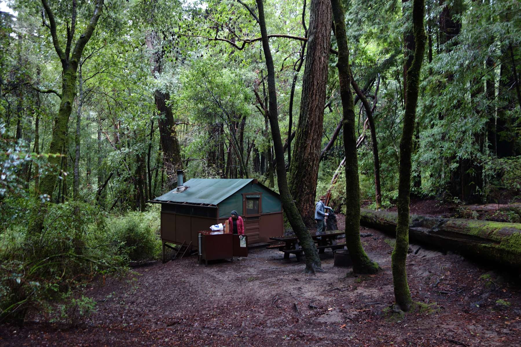 Big Basin Tent Cabins Big Basin Redwoods Ca 7 Hipcamper Reviews