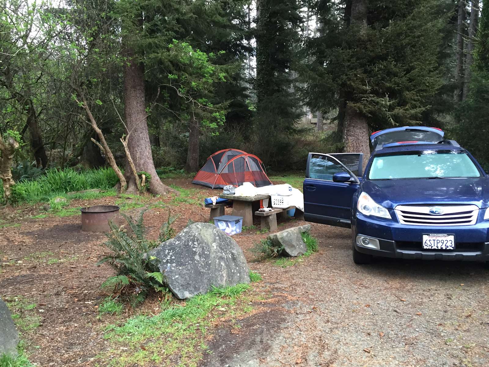 Agate Beach Campground Patrick S Point Ca 4 Hipcamper Reviews And Annie N S Photo At Agate Beach Campground Hipcamp Staff