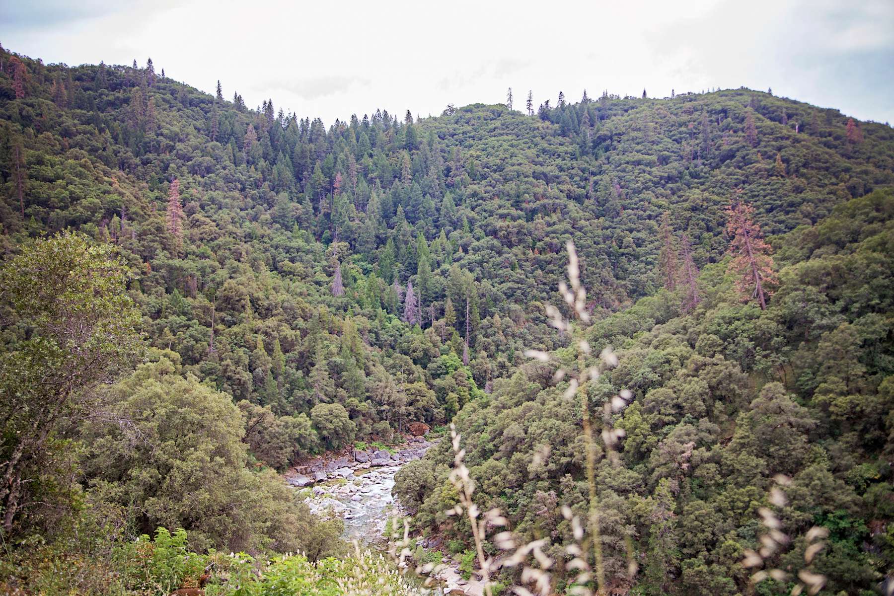 Yuba River Cabins, Yuba River Retreat, CA: 55 Hipcamper ...