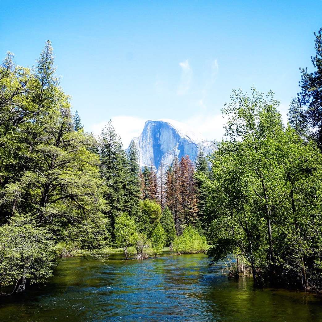 Upper Pines Campground, Yosemite, CA: 53 Hipcamper reviews ...