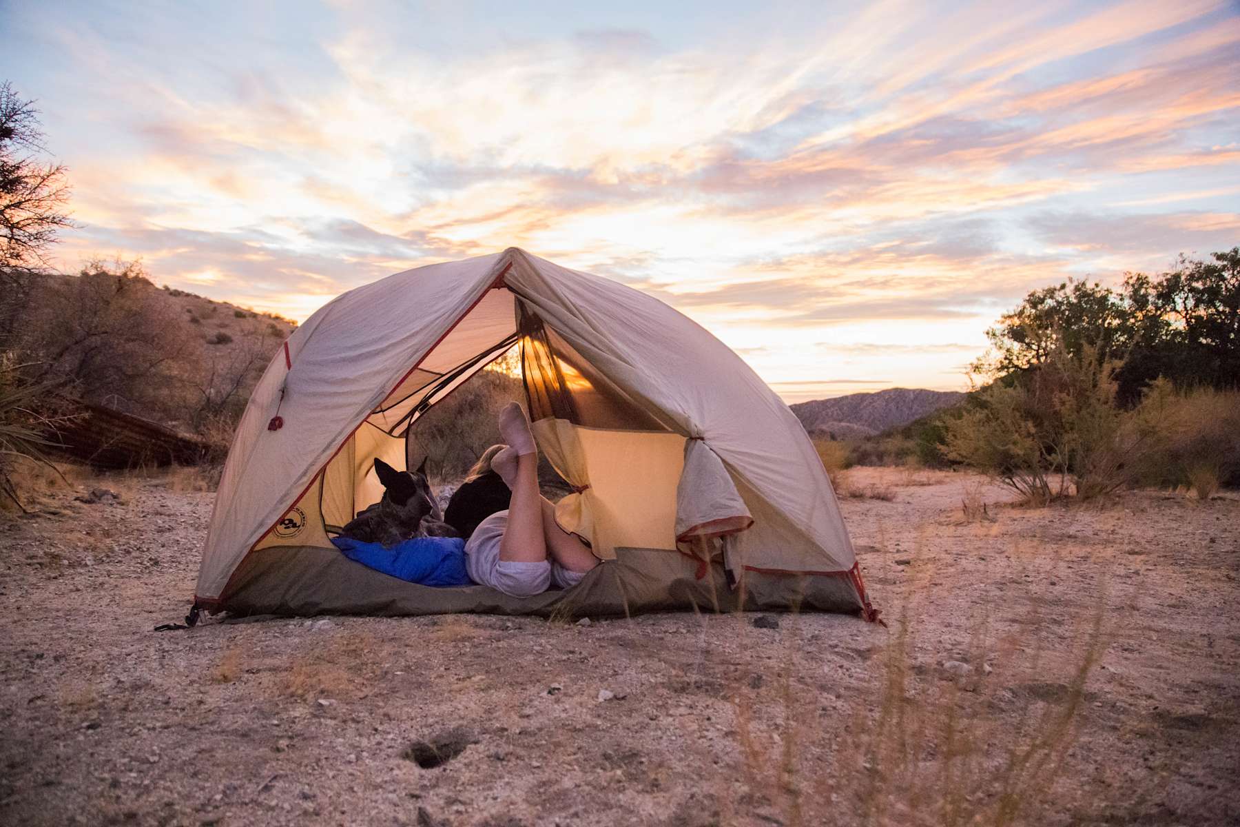 Tent pitched at a Hipcamp location. there's a person and a dog in the tent, it's set against a beautiful sunset or sunrise.