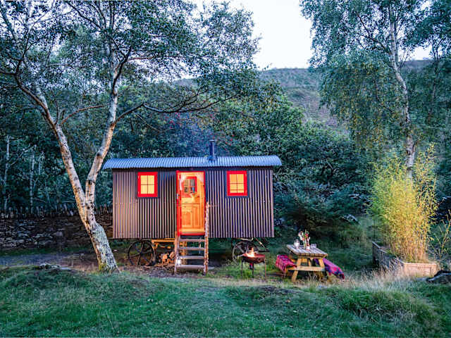 Shepherd's hut with red-framed windows glowing at dusk under birch trees