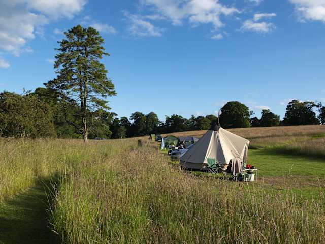 Bell tent and campsite along a grassy path beside a tall tree at golden hour